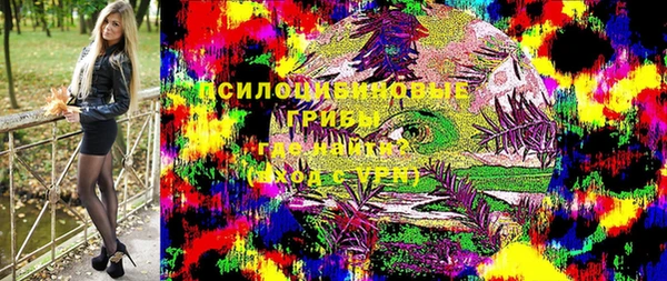 apvp Пересвет