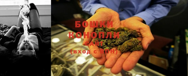 apvp Пересвет