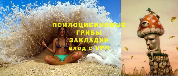 apvp Пересвет