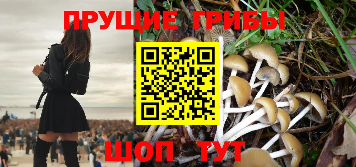 Галлюциногенные грибы Cubensis  Асбест 